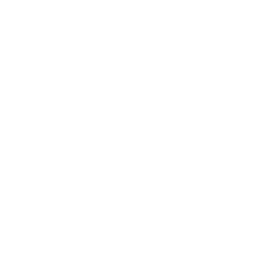 logo-white